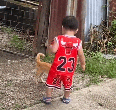 【宠物】放假给小弟弟买了一根烤肠，他非要跑猫面前吃，结果...猫：感谢大自然的馈赠（组图） - 16