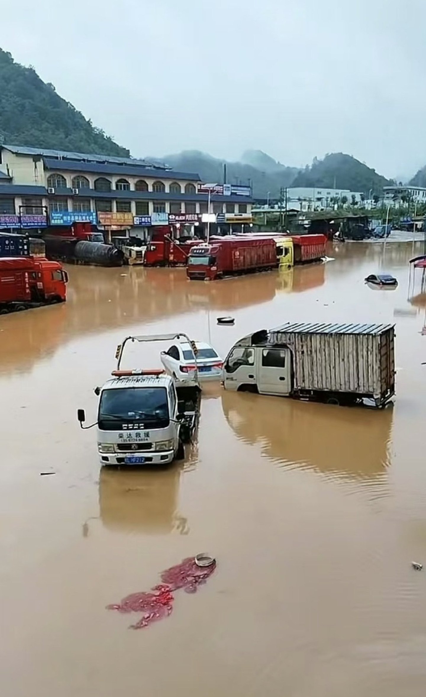 台风麦德姆来袭，海南渔港海水倒灌，广西百色遇百年洪水，有房屋倒塌（视频/组图） - 6