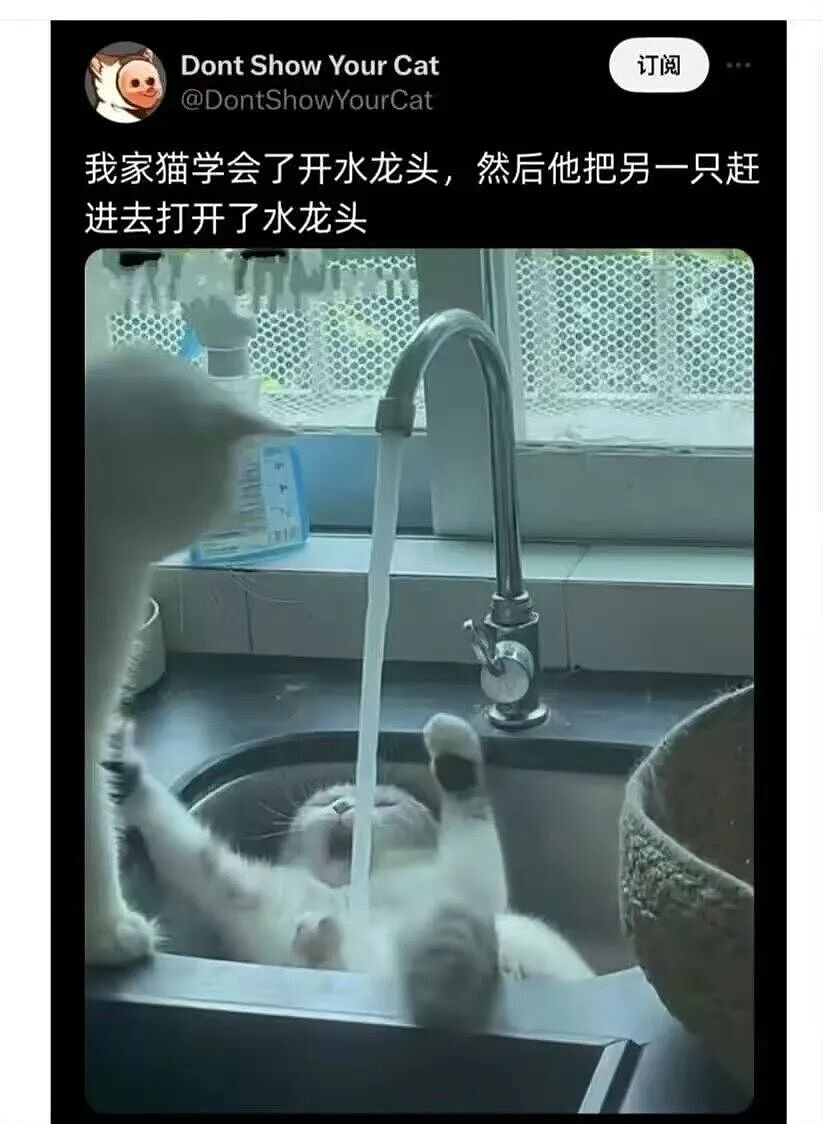 【爆笑】“男朋友还房贷压力大要我出一半？”啊啊啊这算盘打的全世界都听到了！（组图） - 33