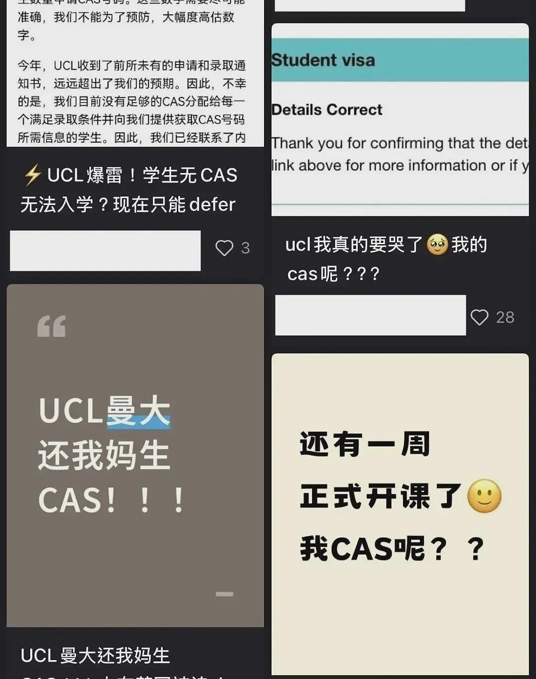 G5名校也割韭菜?UCL招生翻车,大批中国留学生无法入学,集体劝退一年(组图) - 6