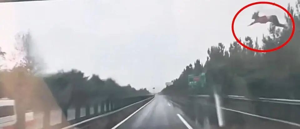 女子被甩到空中!高速公路突发,SUV疑打滑失控撞护栏翻滚,交警回应(视频/组图) - 3