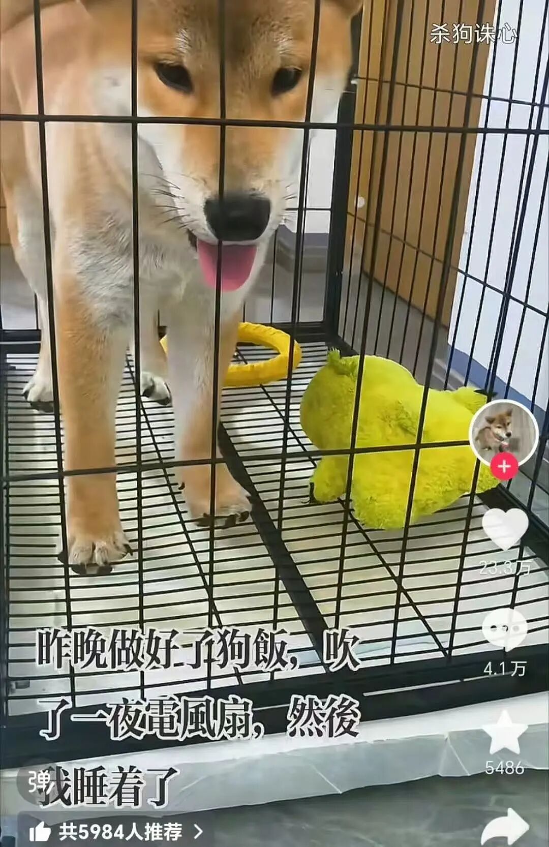 【爆笑】“男朋友还房贷压力大要我出一半？”啊啊啊这算盘打的全世界都听到了！（组图） - 44