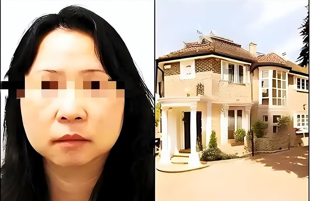 华人大妈带着403亿出逃英国！落网时竟有480亿（组图） - 8