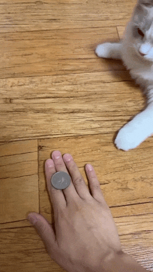 【宠物】放假给小弟弟买了一根烤肠，他非要跑猫面前吃，结果...猫：感谢大自然的馈赠（组图） - 2