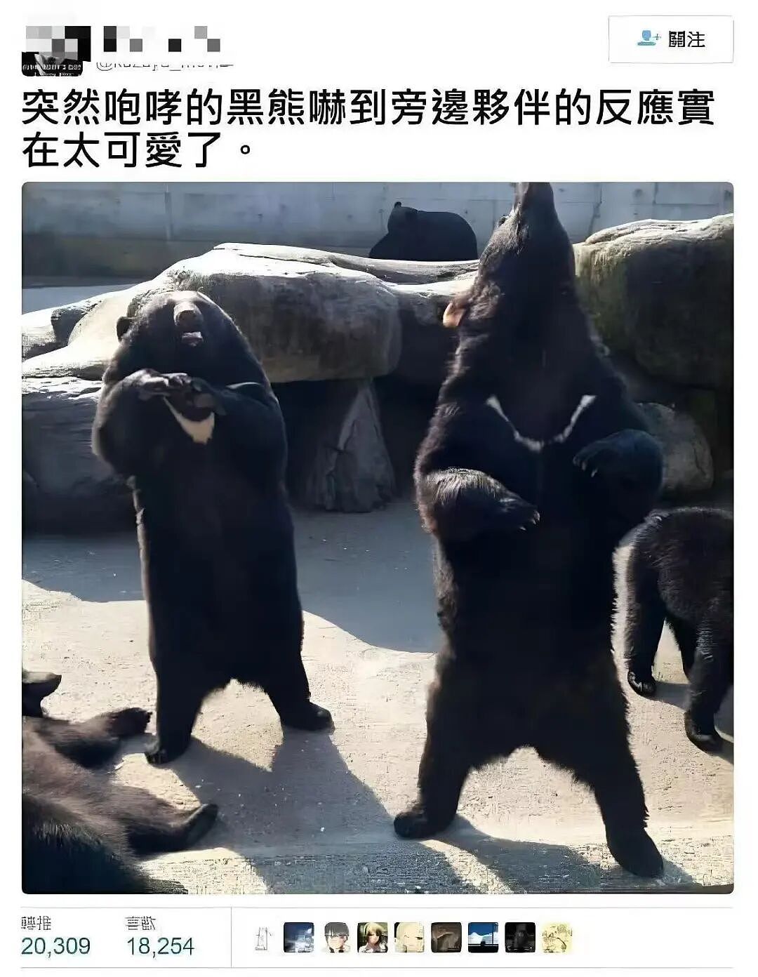 【爆笑】“给男朋友点外卖他要跟我分手？”啊啊啊到底是没有边界感还是另有其人（组图） - 68
