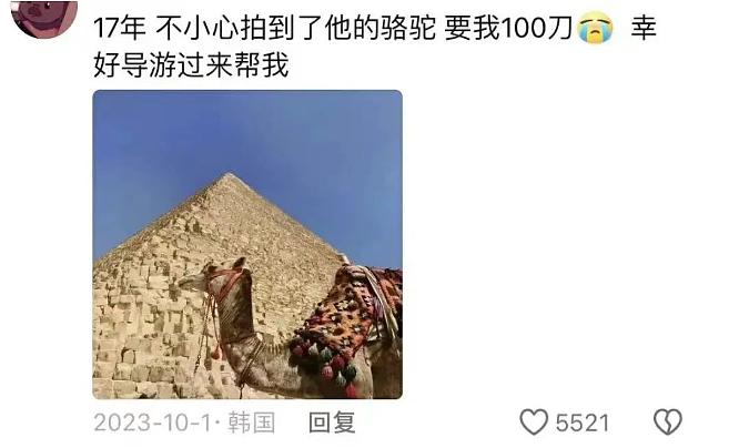 第一批埃及旅游的中产，被骗到快裸奔了（组图） - 25