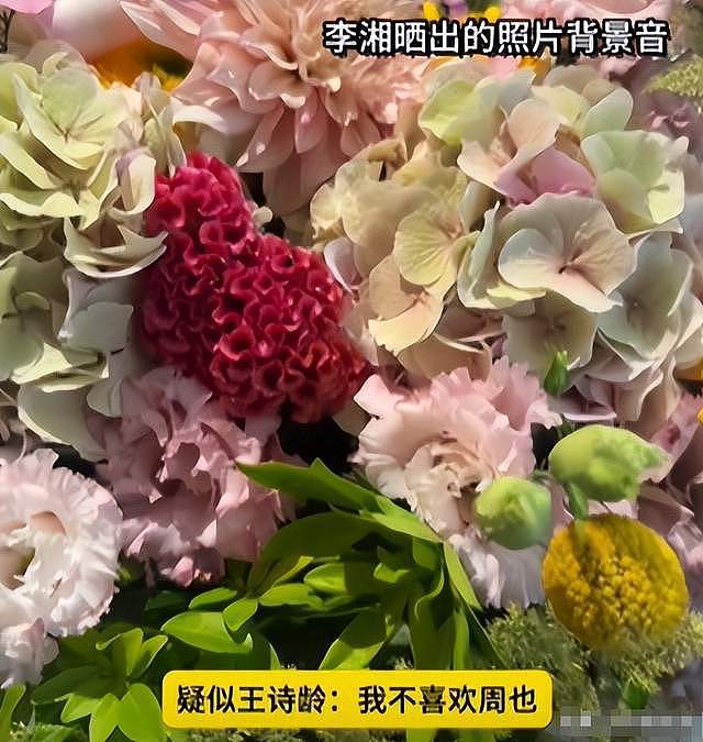 蛐蛐周也，暗讽谢娜是疯婆子！口无遮拦的李湘，终究连累了王诗龄（组图） - 6