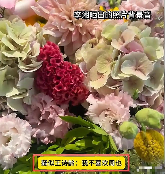 于正发疯踩杨紫？向太利用郭碧婷炒作？李湘女儿骂周也？任贤齐逼替身上吊？不炒CP被逼急的男主？（组图） - 5