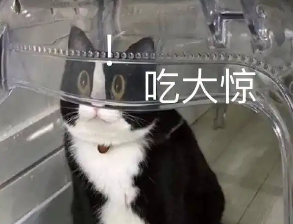 奇葩！南京乘客地铁里聊鸡鸣寺，邻座女子报警称对方骂自己是鸡（视频/组图） - 3