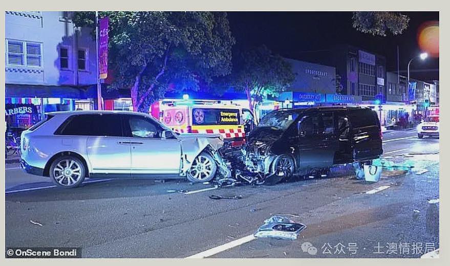 账号找到了,杨兰兰是悉大学生,她和她的狗,都是全身名牌,奢华难以想象,律师:“她很低调的”(组图) - 14