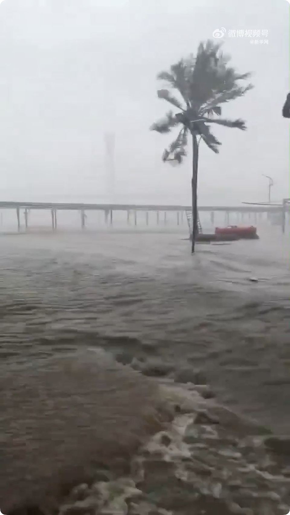 台风麦德姆来袭，海南渔港海水倒灌，广西百色遇百年洪水，有房屋倒塌（视频/组图） - 2