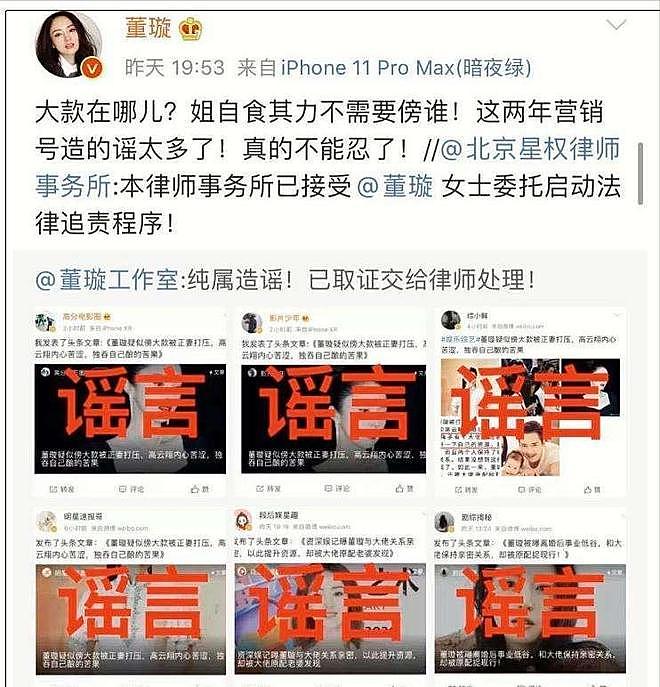 董璇二婚,火了仨人?小酒窝频繁露脸被批营销过度,未来何去何从(组图) - 12