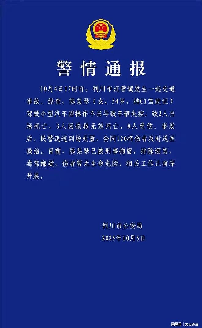 5死8伤!湖北利川车祸被爆料:车头白变黑红,地上全是人,女司机穿细高跟鞋开车,小车贴着实习标(组图) - 3