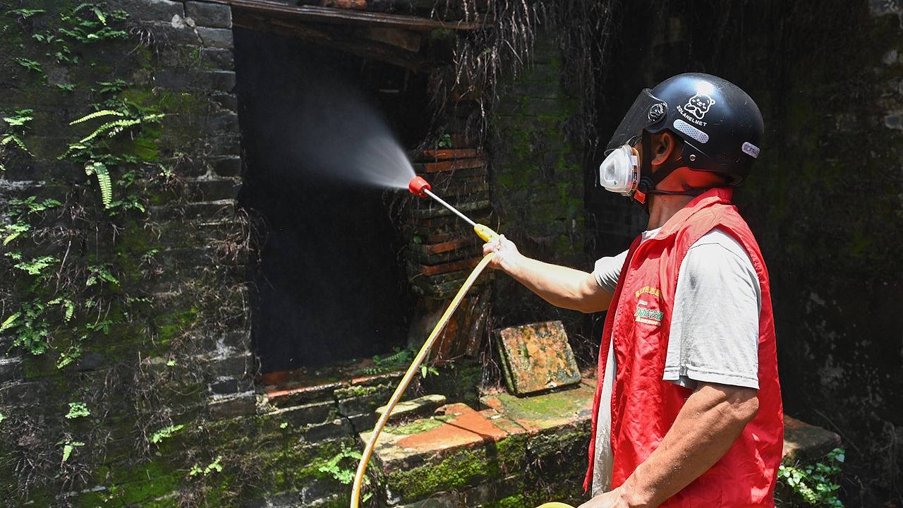 基孔肯雅热：广东省新增3181宗个案，江门爆发疫情启动Ⅲ级响应（组图） - 1