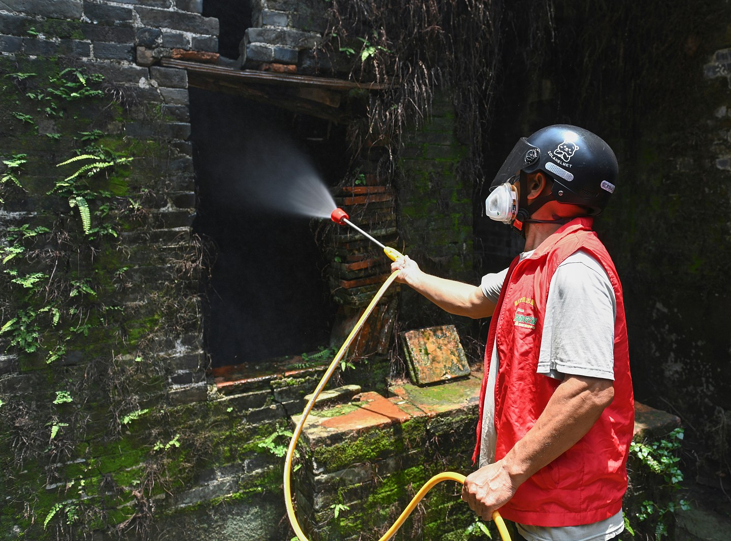 基孔肯雅热：广东省新增3181宗个案，江门爆发疫情启动Ⅲ级响应（组图） - 2