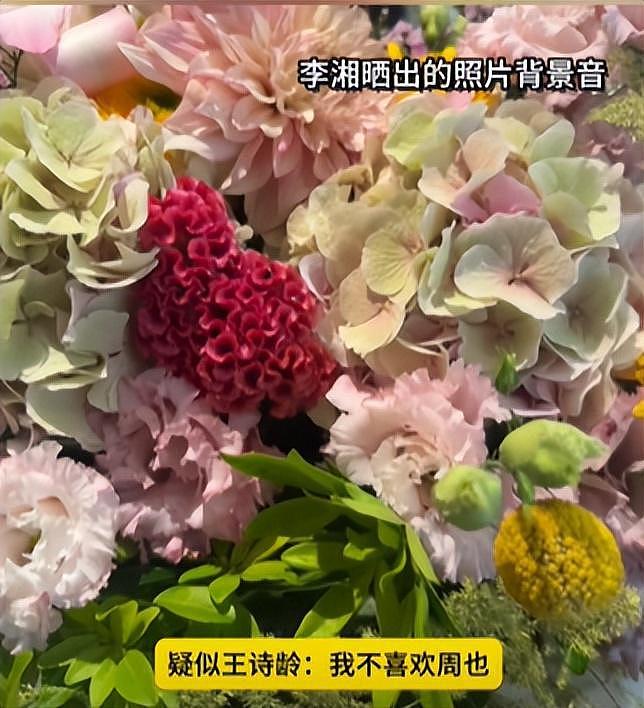 王诗龄评论区沦陷!蛐蛐周也遭到粉丝讨伐,李湘删博重发不道歉(组图) - 2