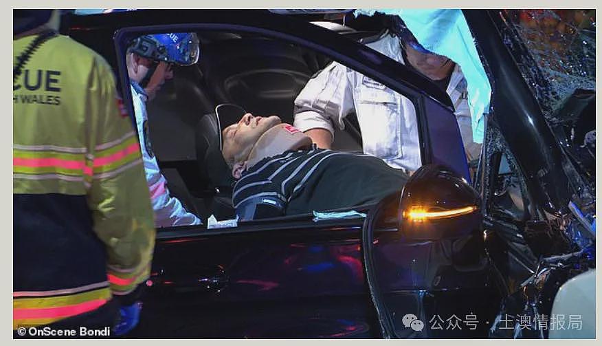 账号找到了,杨兰兰是悉大学生,她和她的狗,都是全身名牌,奢华难以想象,律师:“她很低调的”(组图) - 15