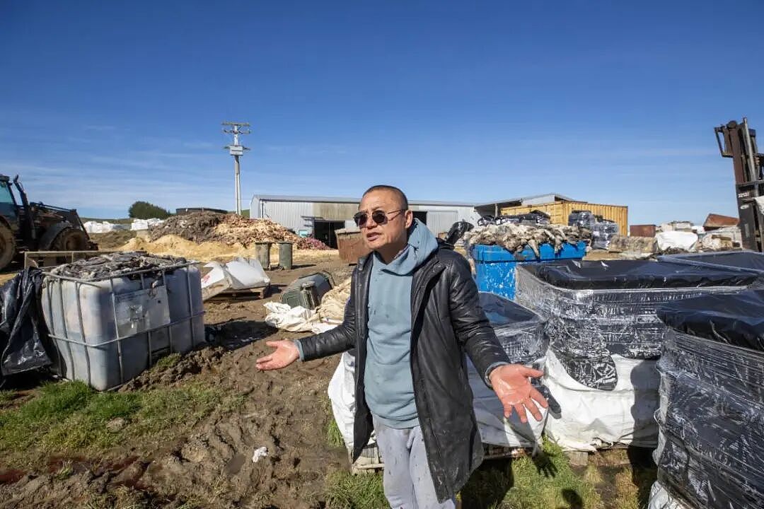 “太恶心了！”新西兰华人工厂飘出“尸臭味”遭调查！经理：“我们是在做正确的事”（组图） - 10