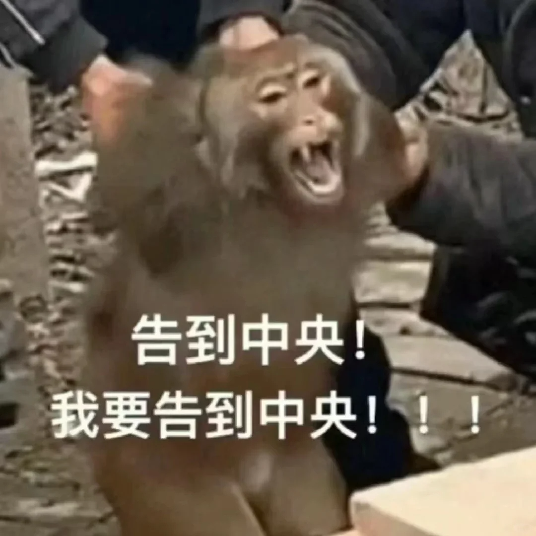 华人富家女留学澳洲带亲戚当“毕业代练”，学费全包还送澳洲永居？（组图） - 4