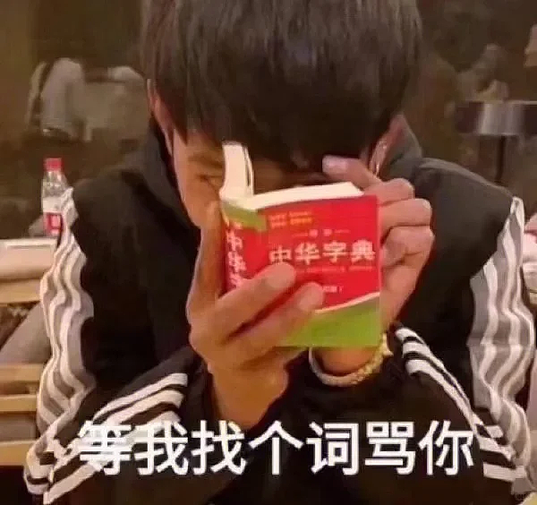 华人富家女留学澳洲带亲戚当“毕业代练”，学费全包还送澳洲永居？（组图） - 9