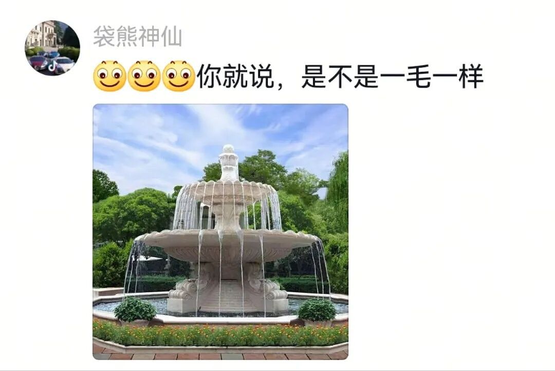 【宠物】主人吃完瓜后灵机一动,美滋滋地给自家狗子添了新装备,主人:物尽其用,狗子:笑是一种礼貌(组图) - 5