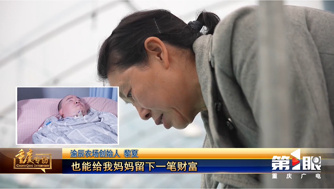 36岁瘫痪小哥靠种菜惊艳全网：对不起，命运不配做我的对手（组图） - 10