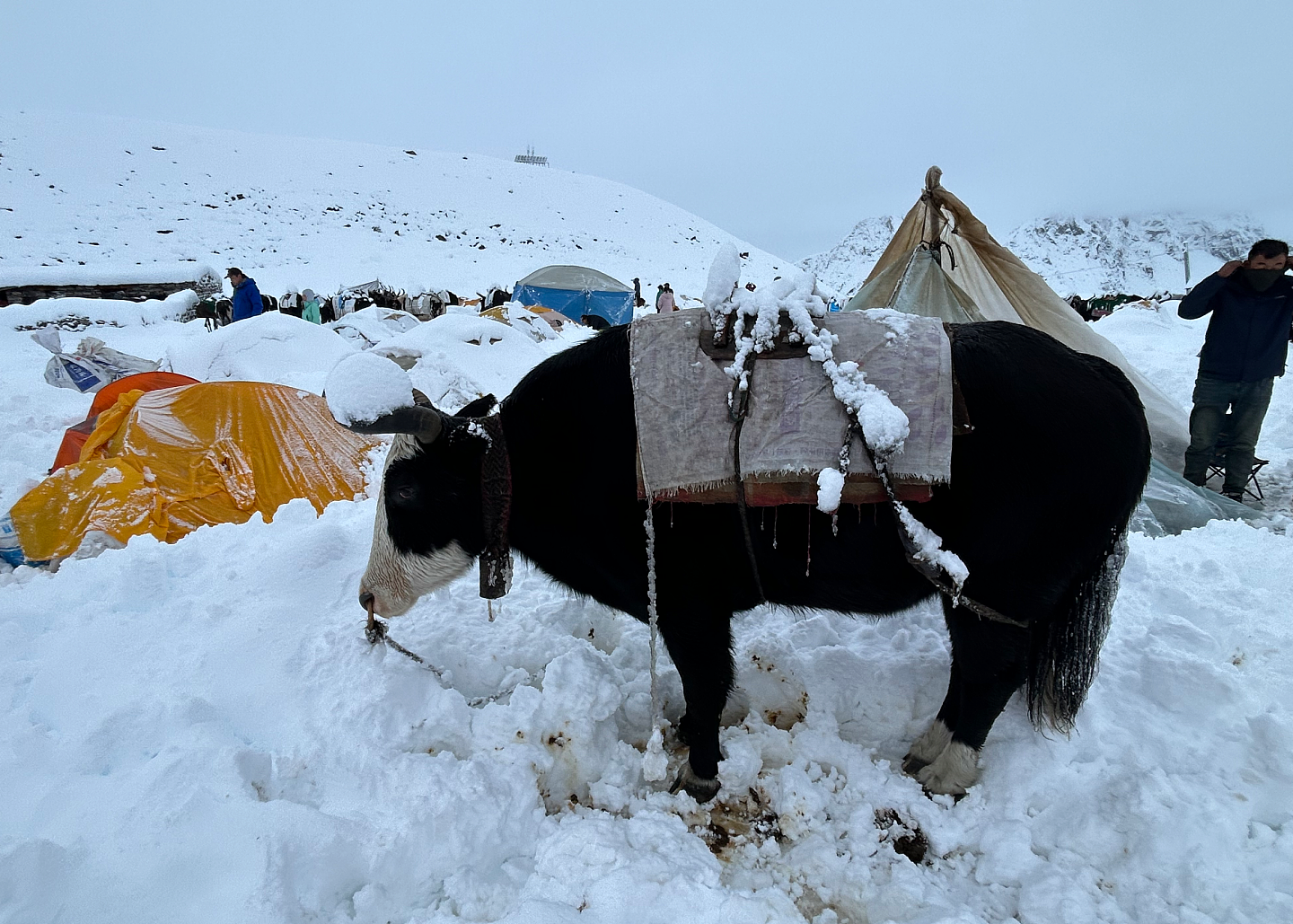 珠峰暴雪救援：嘎玛沟300多游客成功撤离，亲历者回忆“硬壳冲锋衣都防不住，全身结冰”（组图） - 7
