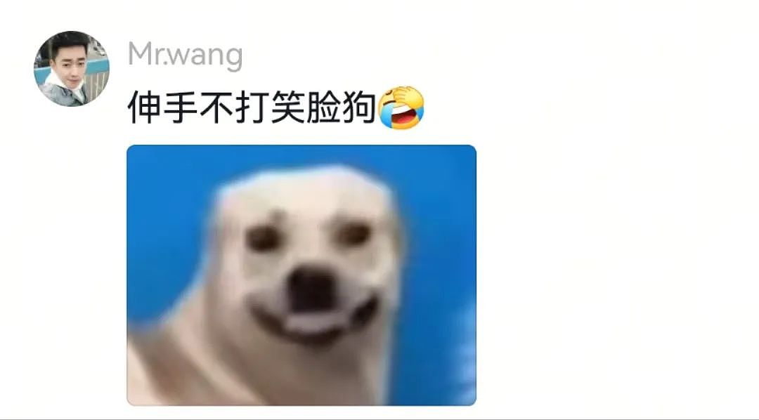 【宠物】主人吃完瓜后灵机一动,美滋滋地给自家狗子添了新装备,主人:物尽其用,狗子:笑是一种礼貌(组图) - 14
