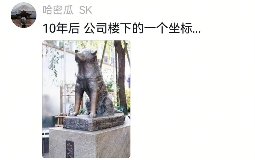 【宠物】主人吃完瓜后灵机一动,美滋滋地给自家狗子添了新装备,主人:物尽其用,狗子:笑是一种礼貌(组图) - 18