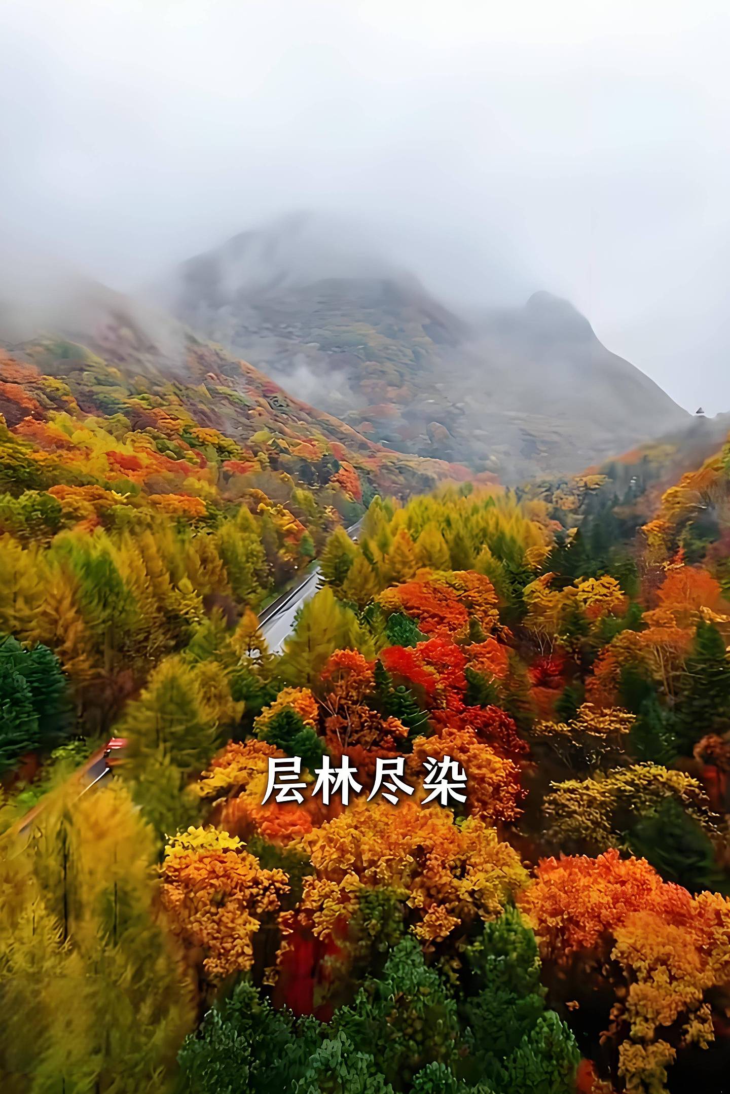 蒙曼国庆游长白山!网友:她越来越像张译了(组图) - 2