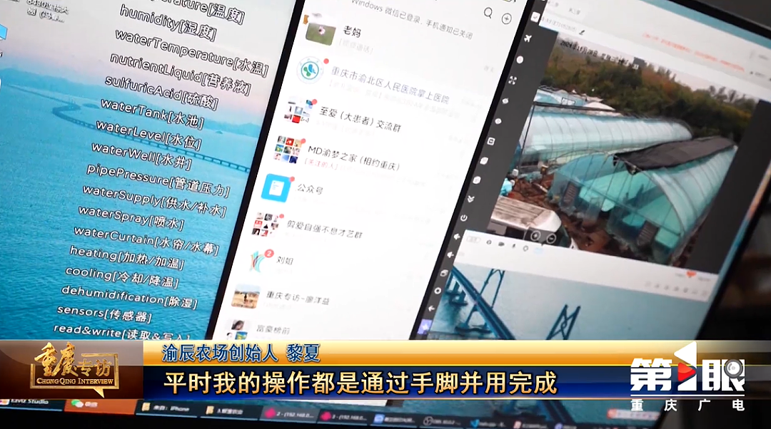 36岁瘫痪小哥靠种菜惊艳全网：对不起，命运不配做我的对手（组图） - 13