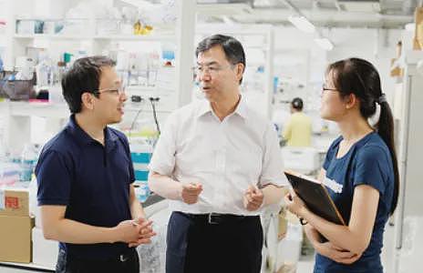 日本又炸了！74岁科学疯子靠“免疫刹车”拿下诺贝尔奖，全国沸腾（组图） - 5