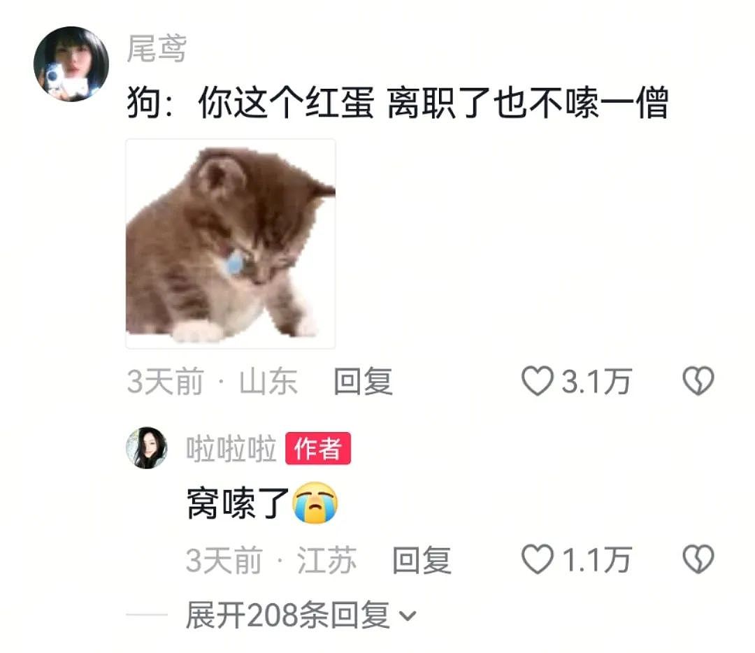 【宠物】主人吃完瓜后灵机一动,美滋滋地给自家狗子添了新装备,主人:物尽其用,狗子:笑是一种礼貌(组图) - 16