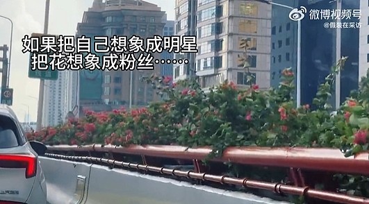 【爆笑】有钱人的豪车不仅有隔板还能隔音？一开始不理解！看到最后：难怪小说男女主亲热都不避人...（组图） - 30