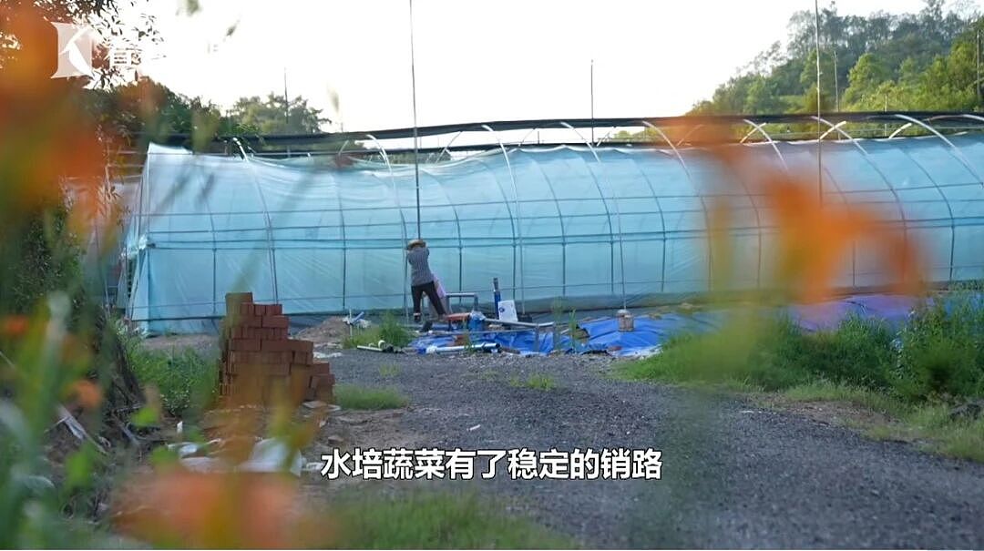 36岁瘫痪小哥靠种菜惊艳全网：对不起，命运不配做我的对手（组图） - 27
