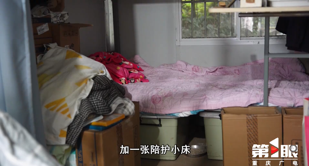 36岁瘫痪小哥靠种菜惊艳全网：对不起，命运不配做我的对手（组图） - 14