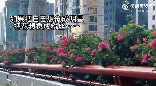 【爆笑】有钱人的豪车不仅有隔板还能隔音？一开始不理解！看到最后：难怪小说男女主亲热都不避人...（组图） - 31