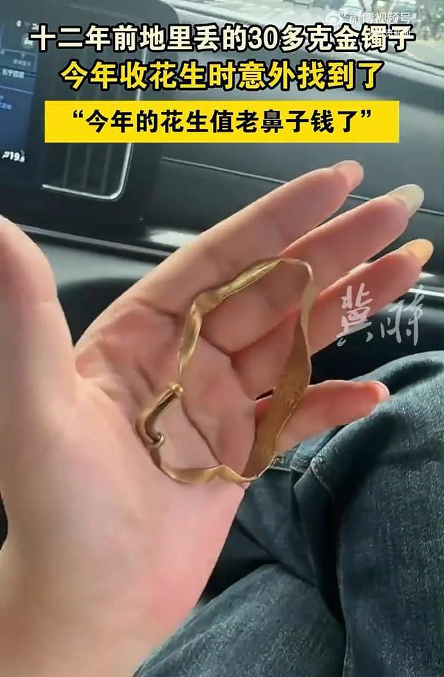12年前姥姥在花生地里丢了30多克的金镯子，今年收花生时意外找到，“今年的花生值老鼻子钱了”（视频/图） - 1