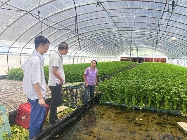 36岁瘫痪小哥靠种菜惊艳全网：对不起，命运不配做我的对手（组图） - 11