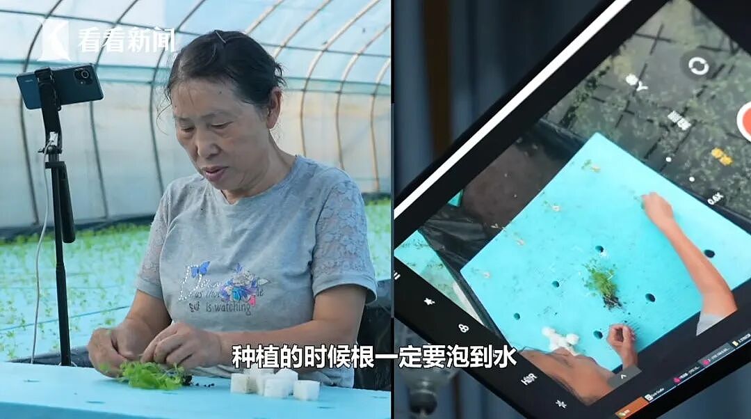 36岁瘫痪小哥靠种菜惊艳全网：对不起，命运不配做我的对手（组图） - 21