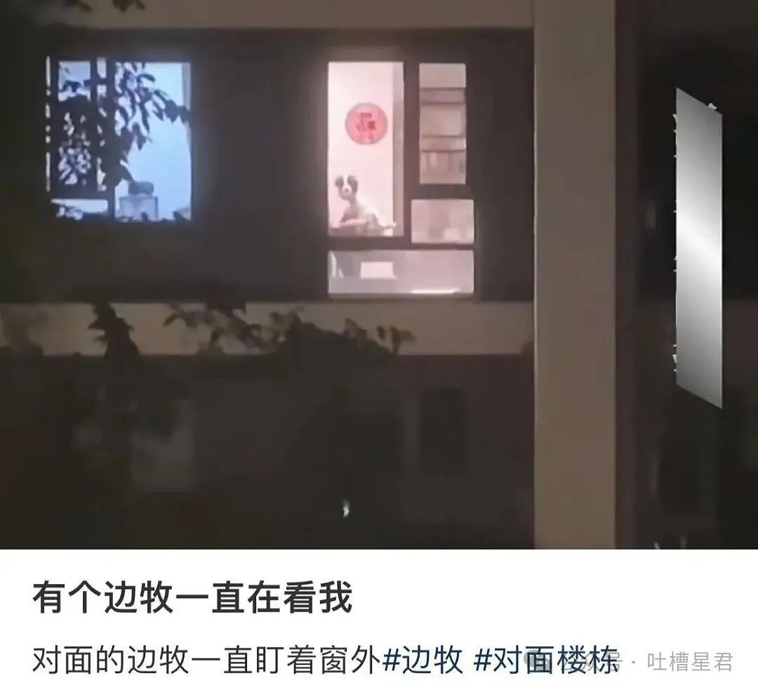 【爆笑】我的结婚摆件真的很丑吗…网友夺笋：像四个苦哈哈的大辟燕子（组图） - 22