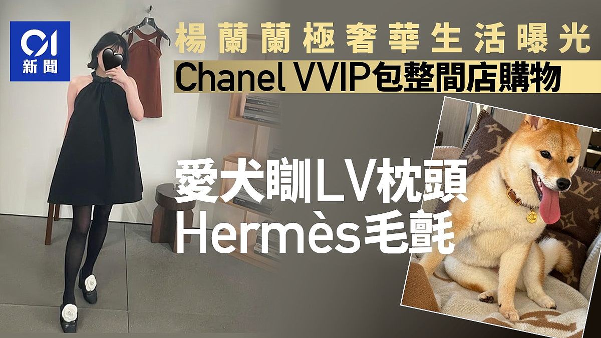 杨兰兰家世及其奢华生活曝光！网友叹：不如她家的狗（组图） - 1