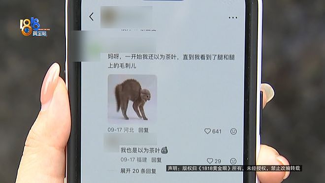 一口奶茶下去嘴有点“扎”，女子吐出昆虫腿还带毛刺！消费者要求店家在小红书公开回应（组图） - 10
