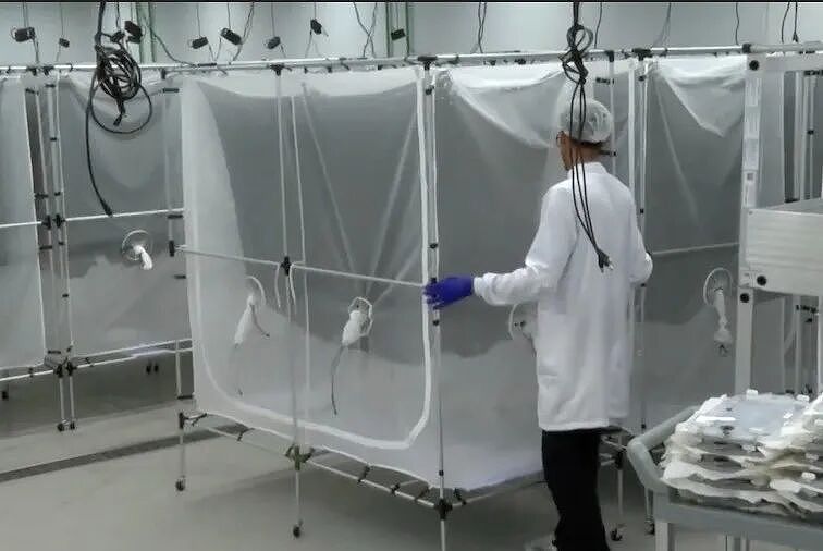用蚊子干掉蚊子！世界最大蚊子工厂每周孵化1.9亿只蚊子！只为让他们绝后....（组图） - 8