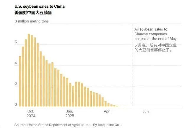 美政府停摆进入第二周，200万人停发工资，75万人被停职，特朗普：政府关门有好处（组图） - 4