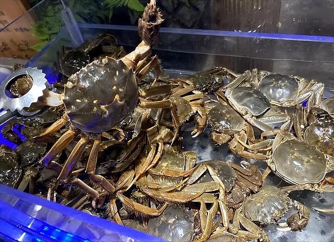 真没想到！今年中秋节，“掉价最猛”的5种商品，月饼只能排最后（组图） - 5