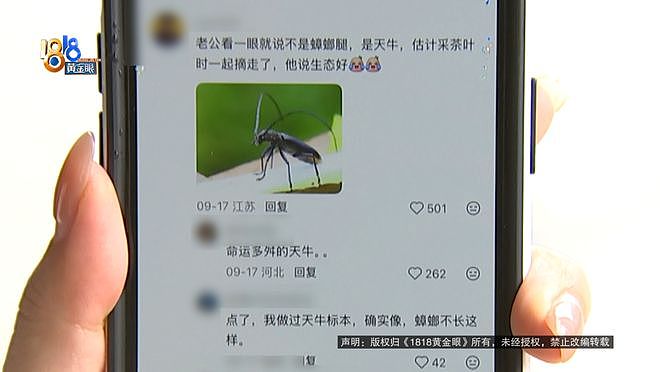 一口奶茶下去嘴有点“扎”，女子吐出昆虫腿还带毛刺！消费者要求店家在小红书公开回应（组图） - 11