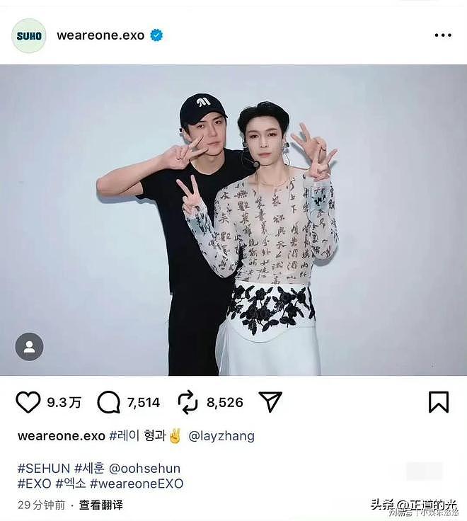 张艺谋坐镇张艺兴演唱会现场观众称舞美规模似奥运会鸟巢座无缺席（组图） - 7