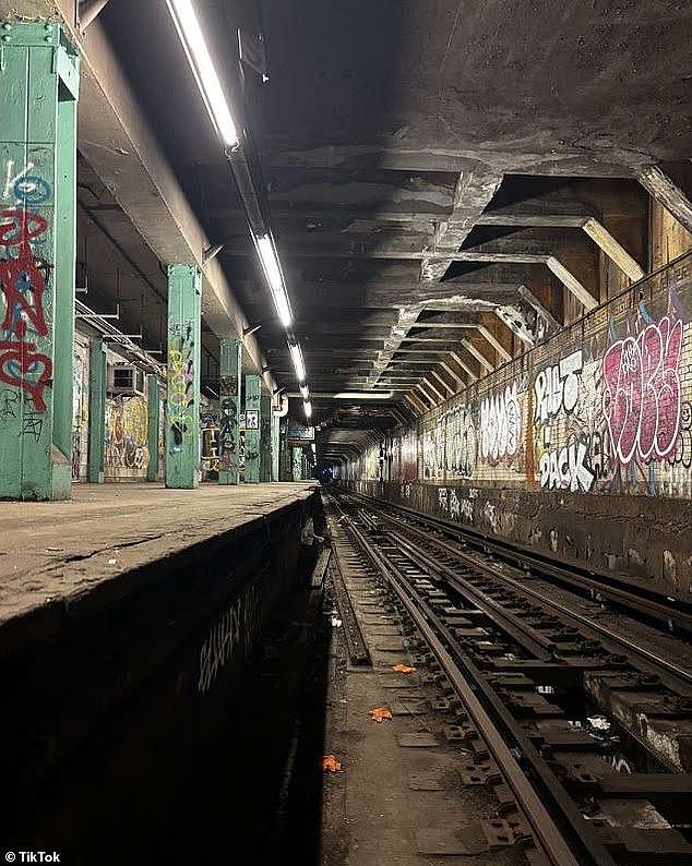 俩纽约少女殒命地铁车顶，凌晨溜出家寻刺激，父母曾劝阻却无效（组图） - 6