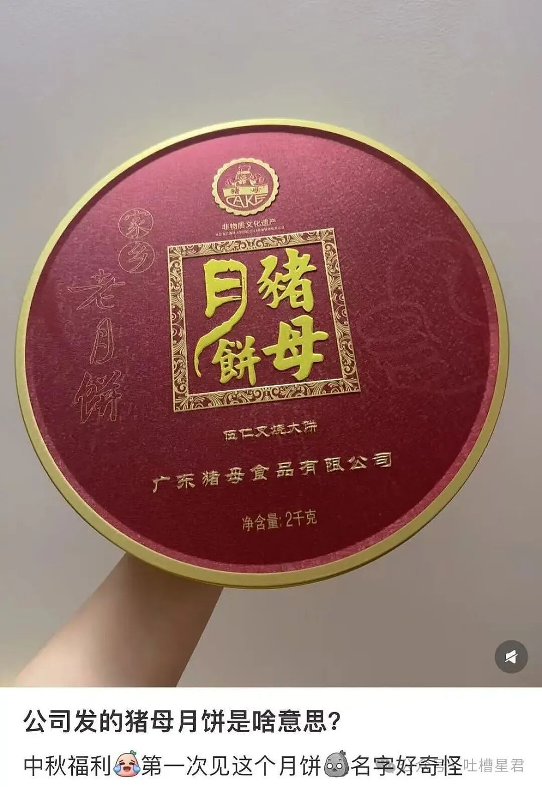 【爆笑】男朋友不想花钱办婚礼却提备孕，啊啊啊算盘珠子崩脸上了（组图） - 17